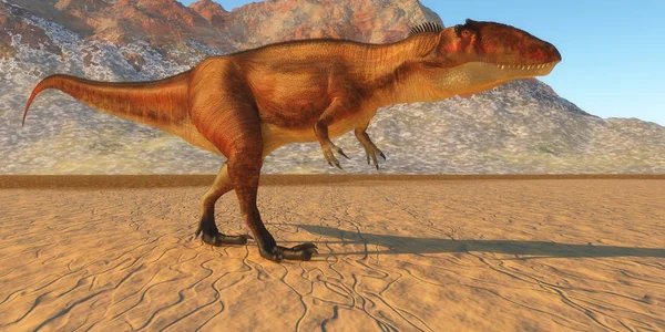 Carcharodontosaurus на полюванні — стокове фото
