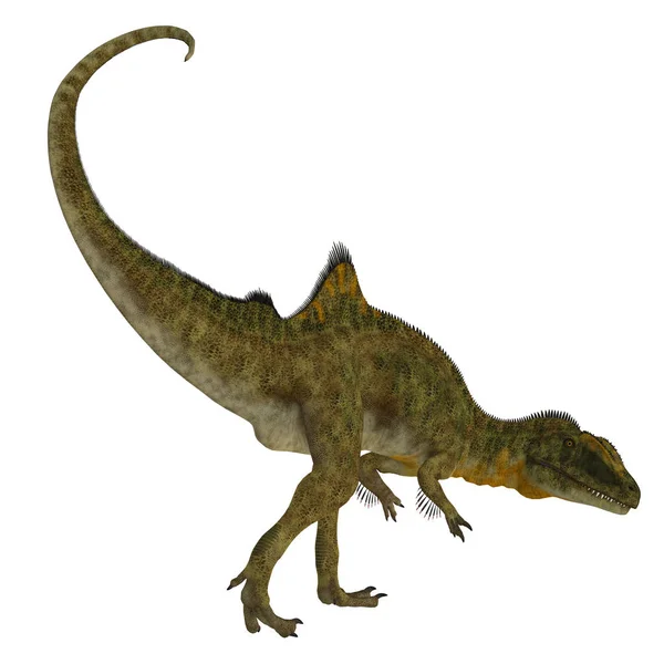 Concavenator 恐龙的尾巴 — 图库照片