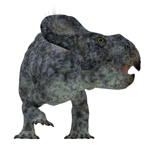 Restoration of a Carnotaurus (Carnotaurus sastrei) dinosaur isolated â Stock Photo © lefpap