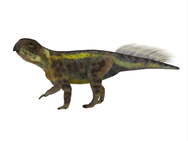 Perfil lateral do dinossauro Psittacosaurus — Fotografia de Stock