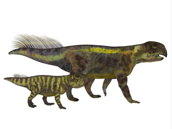 Psittacosaurus dinosaurus mit juvenilen — Stockfoto
