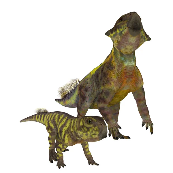 Psittacosaurus Dinosaurios en Blanco — Foto de Stock