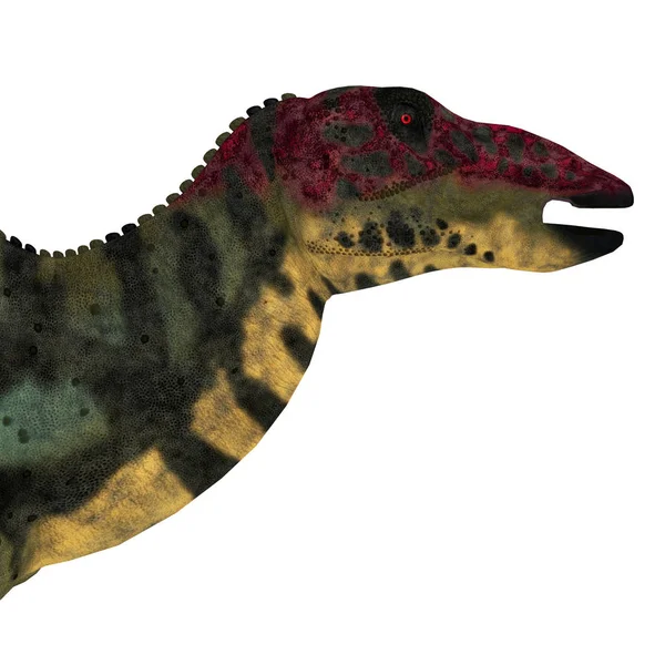 Shuangmiaosaurus Dinosaur Head — Stock Photo, Image