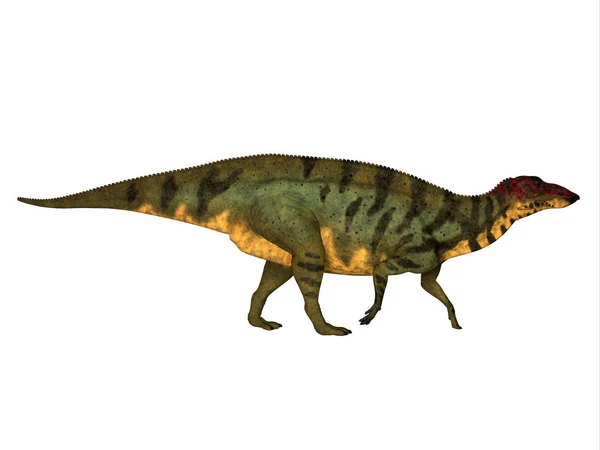 Побочный профиль шуангмиаозавра — стоковое фото