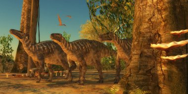 Ormandaki iguanodons