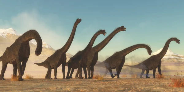 Brachiosaurus Dinosaur Herd — Stock Photo, Image