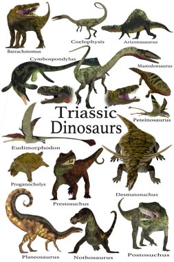 Triyas dinozorlar toplama