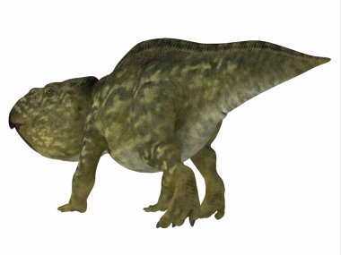 Udanoceratops dinozor kuyruk