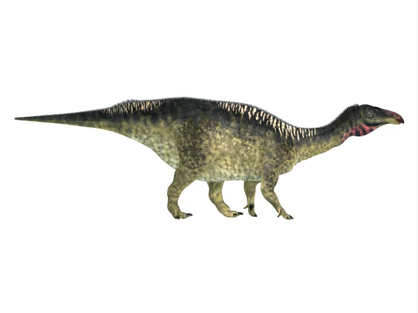 Profilo laterale di Lurdusaurus — Foto Stock