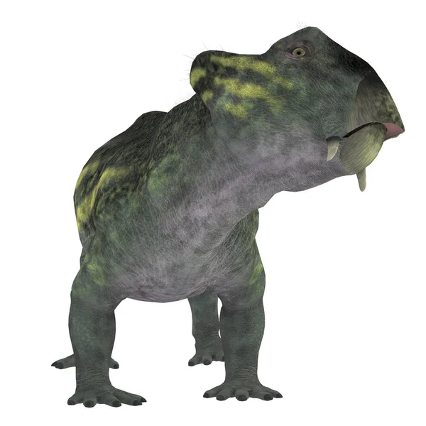 Литровый динозавр на белом — стоковое фото