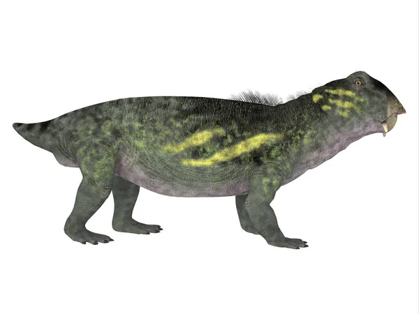 Lytrosaurus 侧剖面 — 图库照片