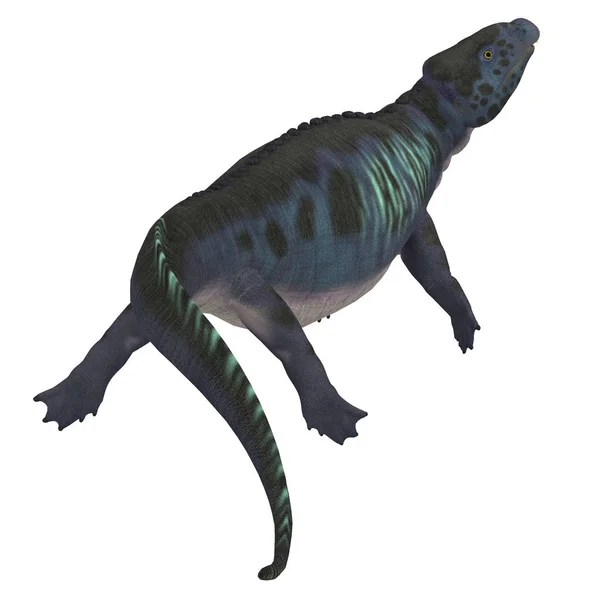 Coda di dinosauro Placodus — Foto Stock