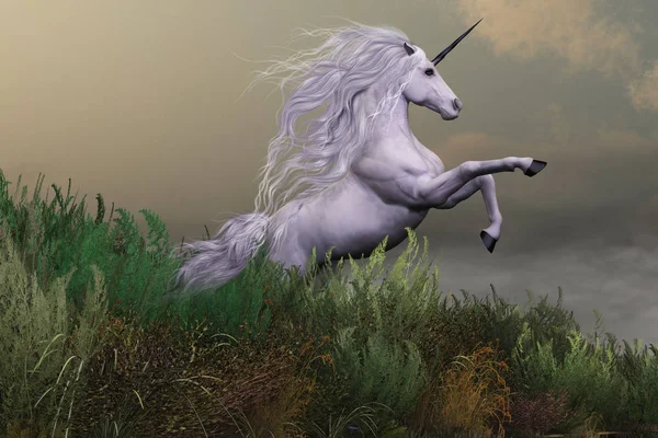 Unicorno bianco sulla montagna — Foto Stock