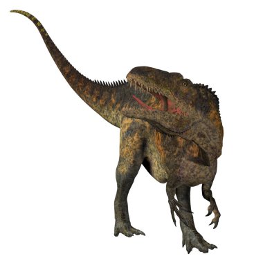 Acrocanthosaurus dinozor kuyruk