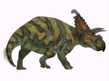 Albertaceratops dinozor kuyruk