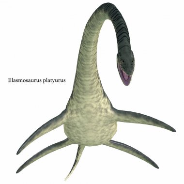 Elasmosaurus Aquatic Reptile with Font clipart