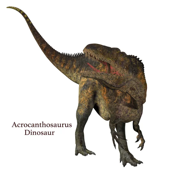 Az Acrocanthosaurus dinoszaurusz farok — Stock Fotó