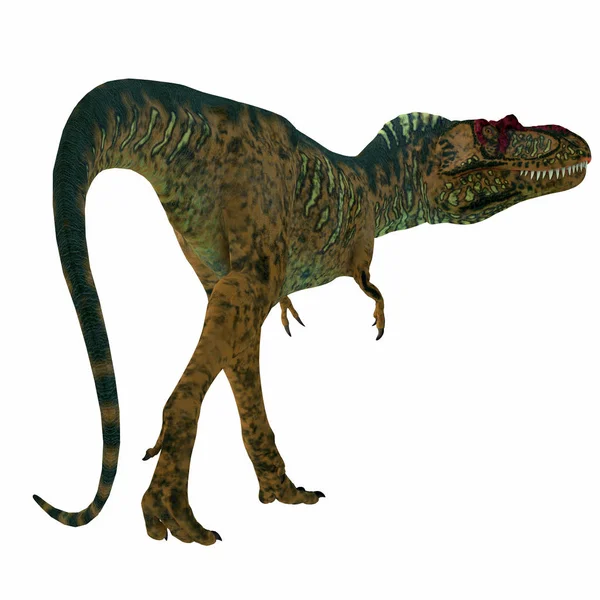 Cauda de dinossauro Albertosaurus — Fotografia de Stock