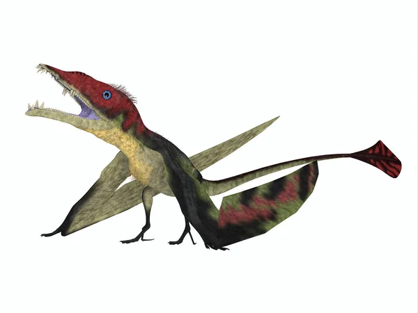 Eudimorphodon 爬行动物休息 — 图库照片