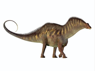 Amargasaurus yan profili