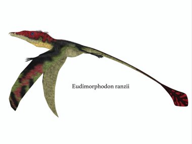 Aşağı Eudimorphodon kanatlı yazı tipi