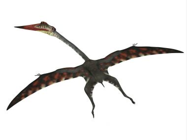 Quetzalcoatlus uçan sürüngen