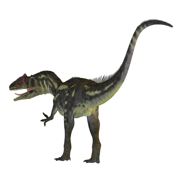 Allosaurus dinosaurus staart — Stockfoto