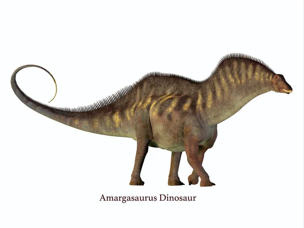 Perfil lateral do Amargasaurus com fonte — Fotografia de Stock
