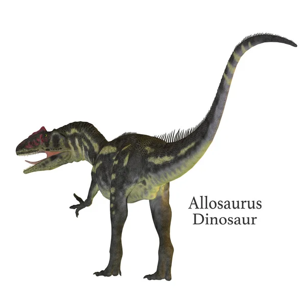 Cauda de dinossauro de alossauro com fonte — Fotografia de Stock