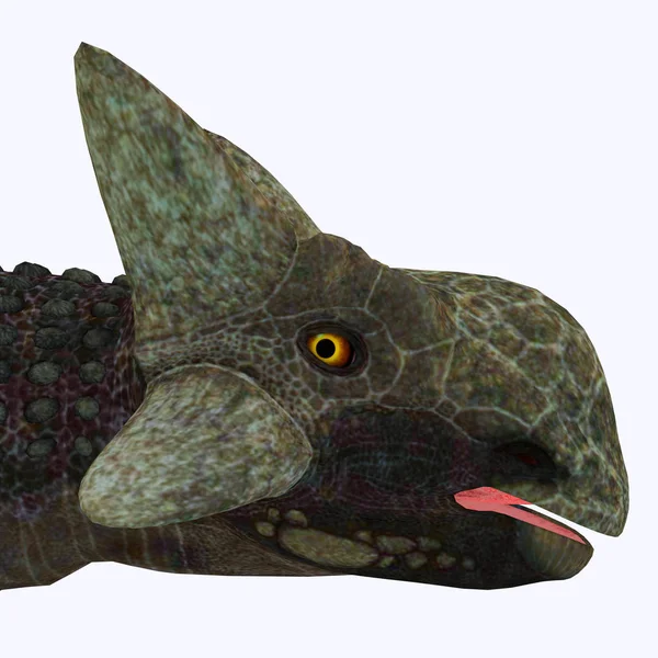 Dinozaura Ankylosaurus głowy — Zdjęcie stockowe