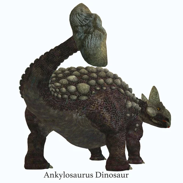 Ankylosaurus Dinosaurierschwanz mit Schrift — Stockfoto