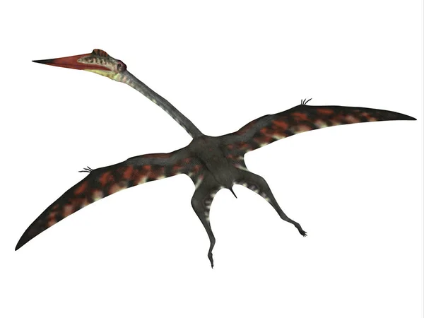 Рептилія літаючої Quetzalcoatlus — стокове фото