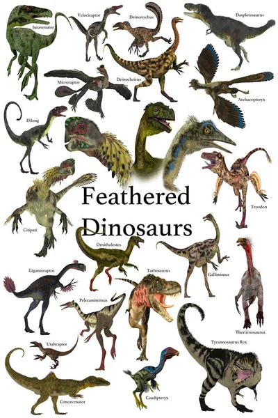 Feathered Dinosaurs Collection