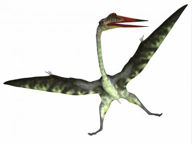 Beyaz Quetzalcoatlus sürüngen