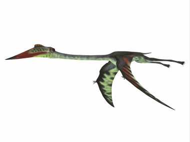 Quetzalcoatlus kanatları aşağı
