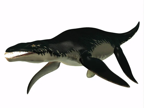 Liopleurodon yan profili — Stok fotoğraf