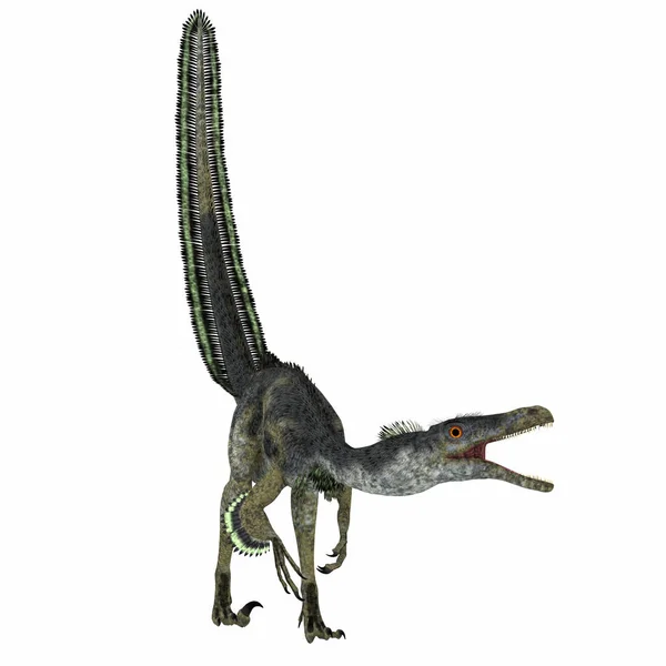 VelociRaptor dinozor beyaz — Stok fotoğraf