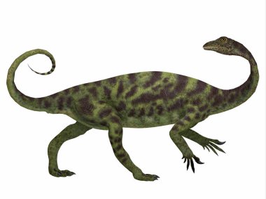 Anchisaurus dinozor yan profili