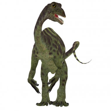 Anchisaurus Jurassic Dinosaur clipart