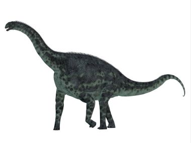 Cetiosaurus dinozor yan profili