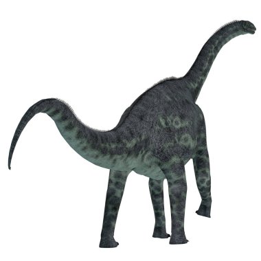 Cetiosaurus dinozor kuyruk