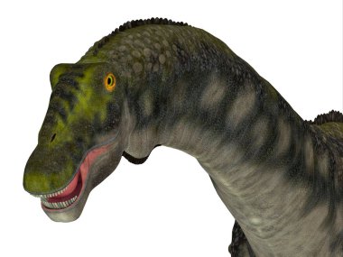 Diamantinasaurus dinozor kafası