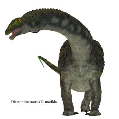 Diamantinasaurus dinozor beyaz