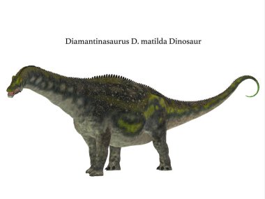 Diamantinasaurus dinozor yan profili