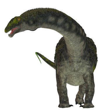 Diamantinasaurus dinozor beyaz