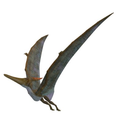 Yukarı Pteranodon sürüngen kanatlar