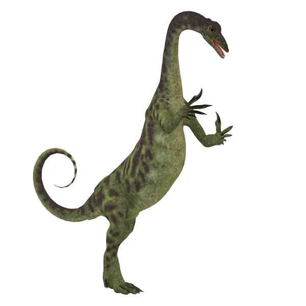 Dinossauro Anchisaurus em Branco — Fotografia de Stock