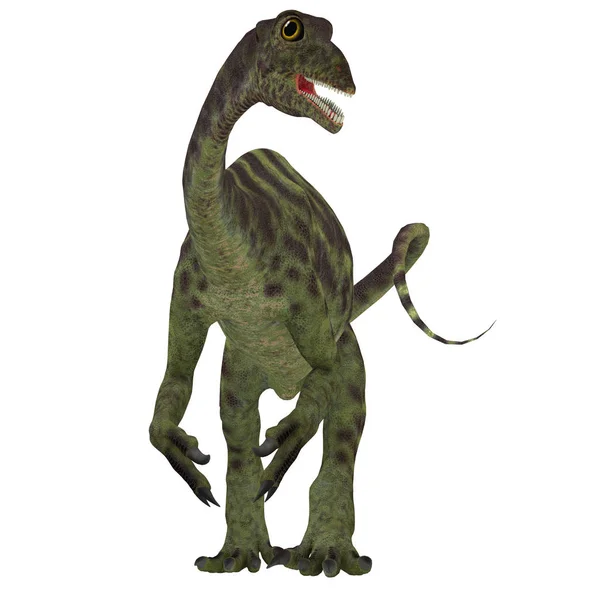 Anchisaurus Jurassic Dinosaurier — Stockfoto