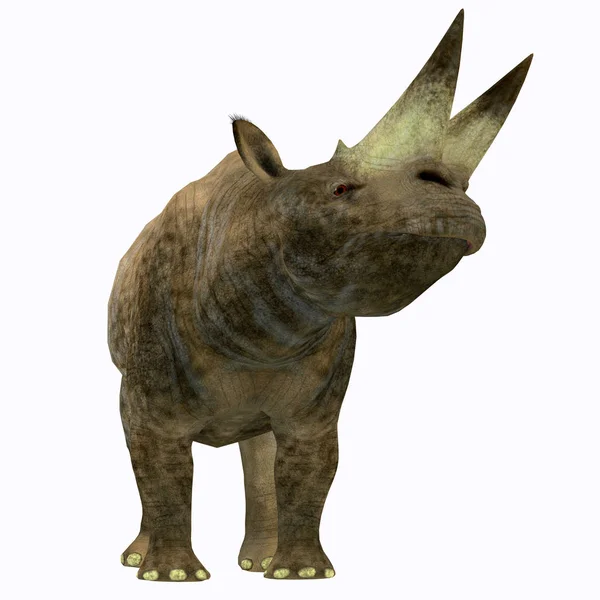화이트에 Arsinoitherium 포유동물 — 스톡 사진