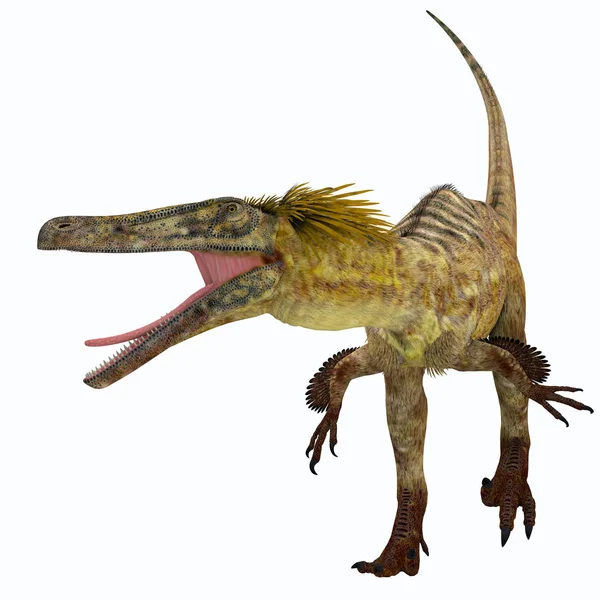 Austroraptor dinozor beyaz — Stok fotoğraf